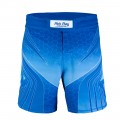 MMA Shorts